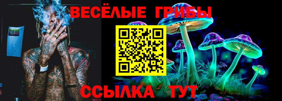 Богданович  Псилоцибиновые грибы ЛСД  Вход с VPN 